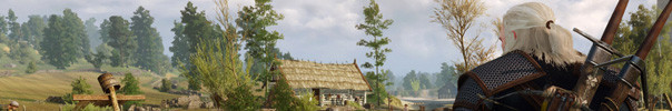 Screenshot von Witcher 3